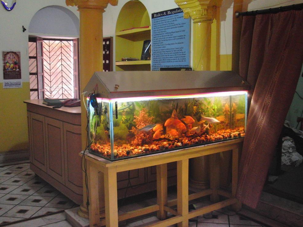Shivakashi Guest House Βαρανάσι Εξωτερικό φωτογραφία